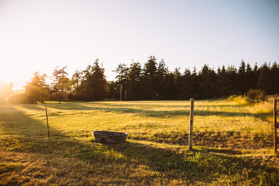 Pastures