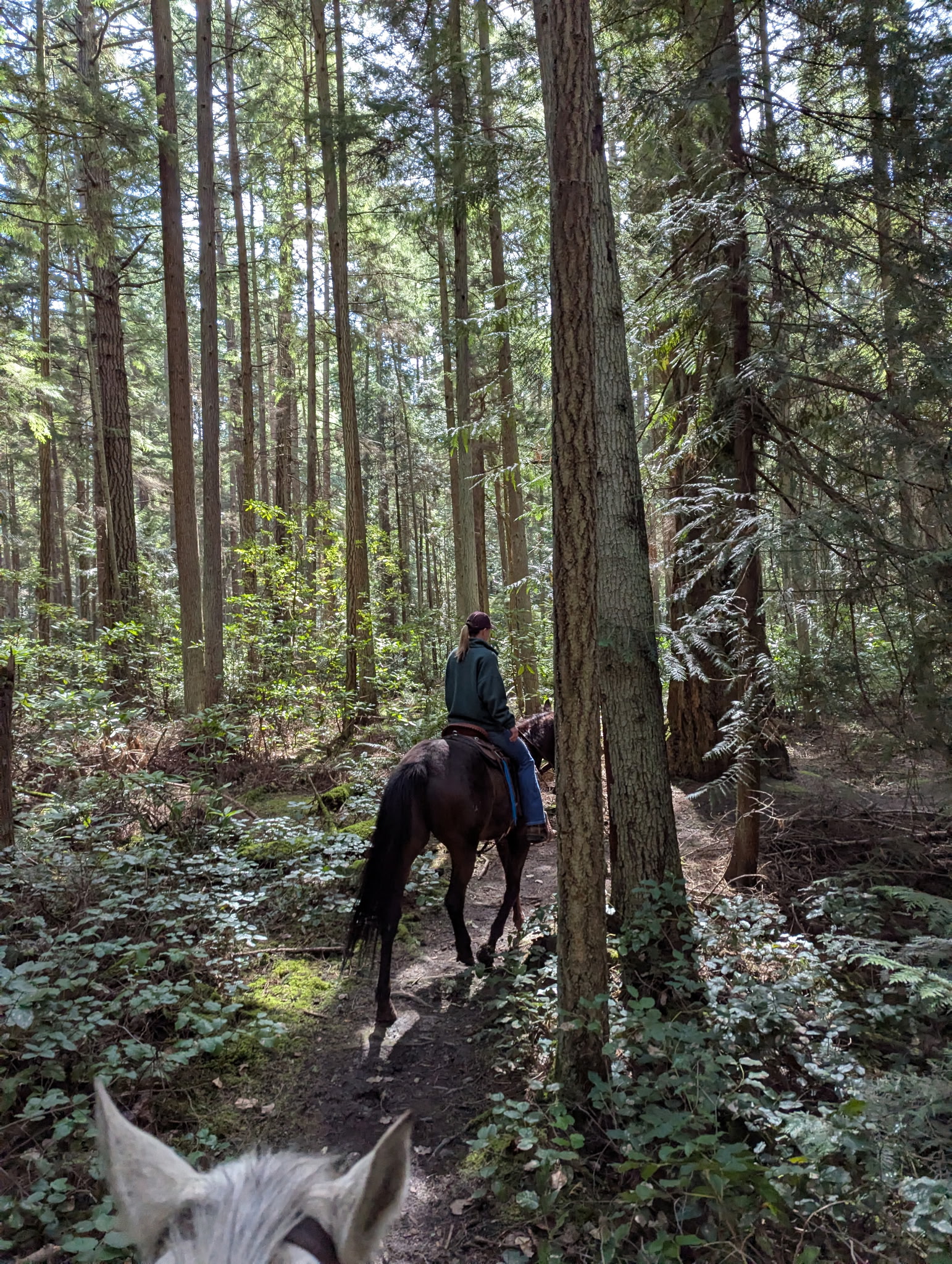 Nearby trails